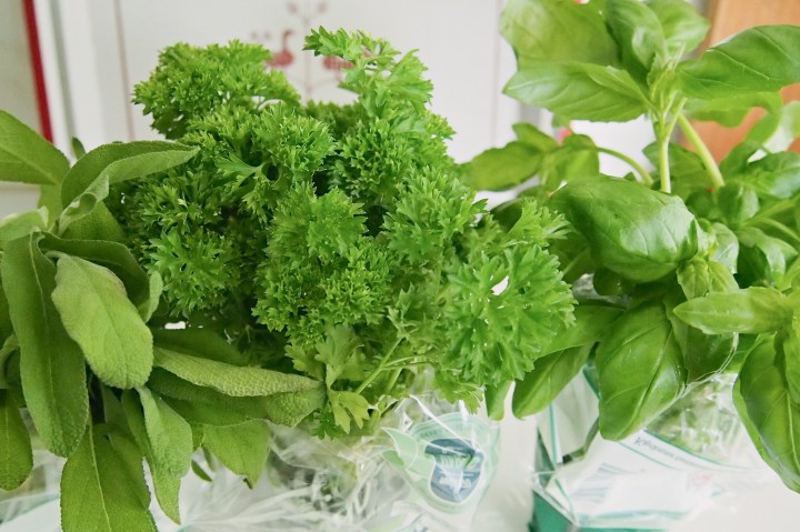 Iiik, nyt se&nbsp;alkaa…