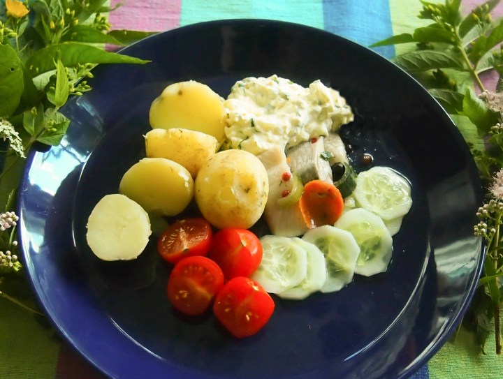 Silliä smetanakastikkeella