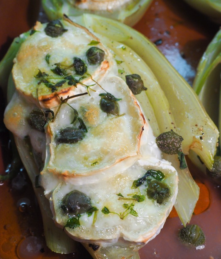 Fenkolia ja vuohenjuustoa