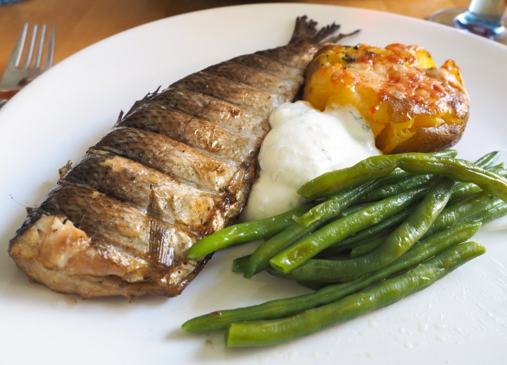 Halstrattua pannusiikaa ja litistettyjä&nbsp;uuniperunoita